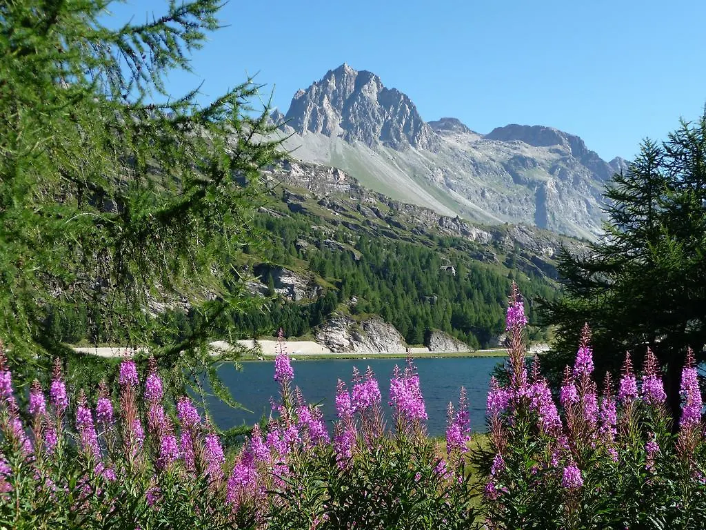 Hotel Piuro Prosto di Piuro Italia